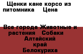 Щенки кане корсо из  питомника! › Цена ­ 65 000 - Все города Животные и растения » Собаки   . Алтайский край,Белокуриха г.
